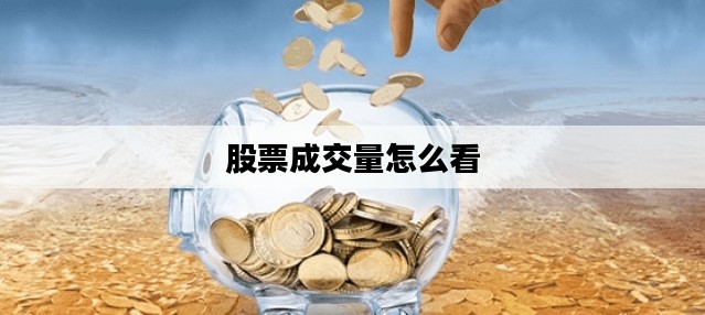 股票成交量怎么看